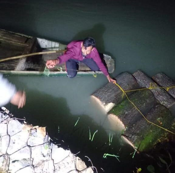 Forest Dept Foils Timber Smuggling Bid in Ganderbal, Willow Logs Worth Lakhs Seized