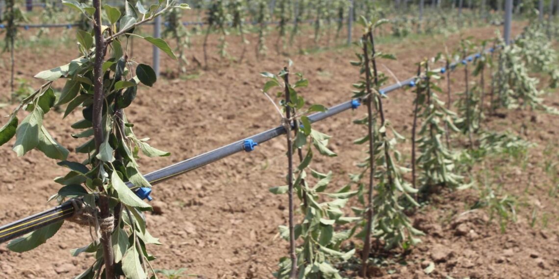 *Police Register Case After Apple Orchard Vandalized in Chadoora*