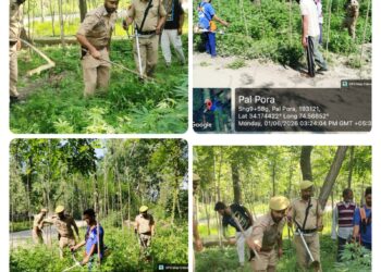 *Baramulla Police Conducts Wild Cannabis Destruction Drive at Palhalan Under Nasha Mukt Bharat Abhiyan*