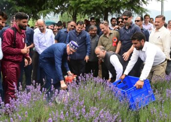 CM Omar Abdullah Inaugurates Lavender Festival at Nunar