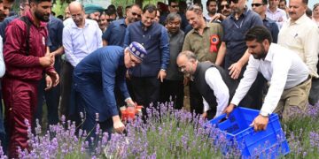 CM Omar Abdullah Inaugurates Lavender Festival at Nunar