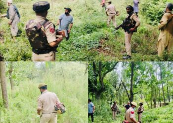 *Baramulla Police Intensify Drive Against Wild Bhung; 03 Kanals Cleared at Wanigam Payeen*