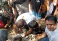 Leopard Rescued After Getting Entangled in Wire in Uri Baramulla,
