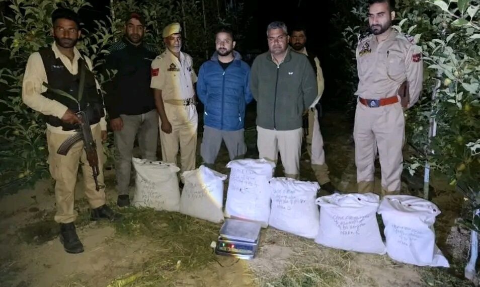 Police unearth underground drug hideout in Shopian; 28.968 kgs of crushed cannabis powder recovered