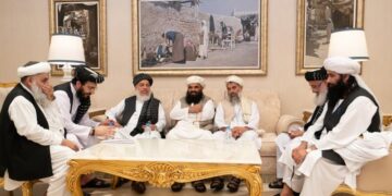 India willing to garner regional, international support for intra-Afghan peace process