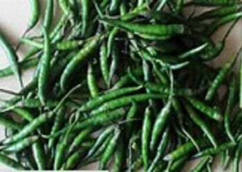 Indian green chillies will be available in Bangladesh market from July 3
