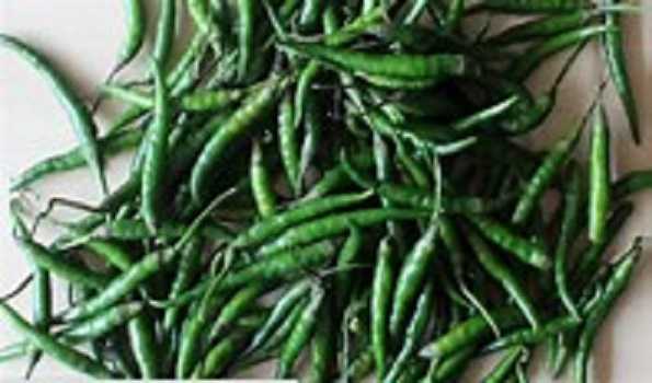 Indian green chillies will be available in Bangladesh market from July 3