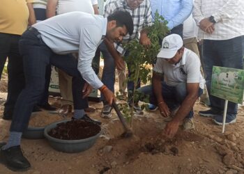 JMC conducts mega plantation drive at Shanti Park under ‘Clean Jammu, Green Jammu’ initiative