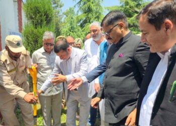 Ministers participate in plantation drive at B’la
