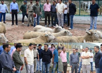 Javid Dar reviews sheep breeding initiatives at Khimber Farm