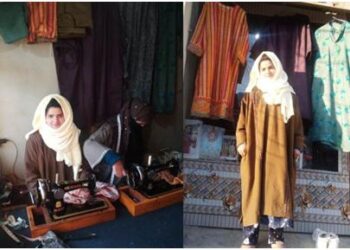 Job seeker becomes job provider at Shopian, RSETI transforms life of Shopian’s Afroza Jan