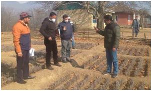 Joint Director Agriculture visits