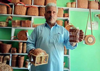 Kashmir willow wicker gaining popularity after adopting modern designs