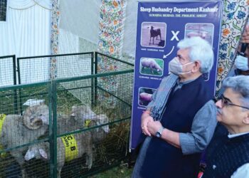 LG inaugurates workshop on Sheep & Goat Husbandry in Tribal Community at SKICC