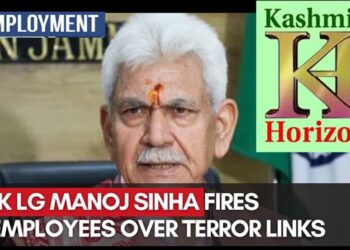 LG Sinha Terminates 3 Employees on Terror Charges