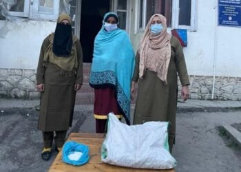 Lady From Rajasthan Arrested In Budgam For Kidnapping A 4 -Year-Old Boy: Police