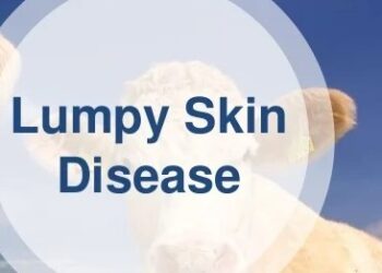 Lumpy SKIN Disease,Govt constitutes task forces for two divisions each of J&K