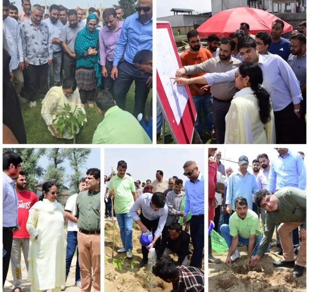 Mandeep Kaur leads plantation drive; reviews progress on modern Abattoir at Allochi Bagh