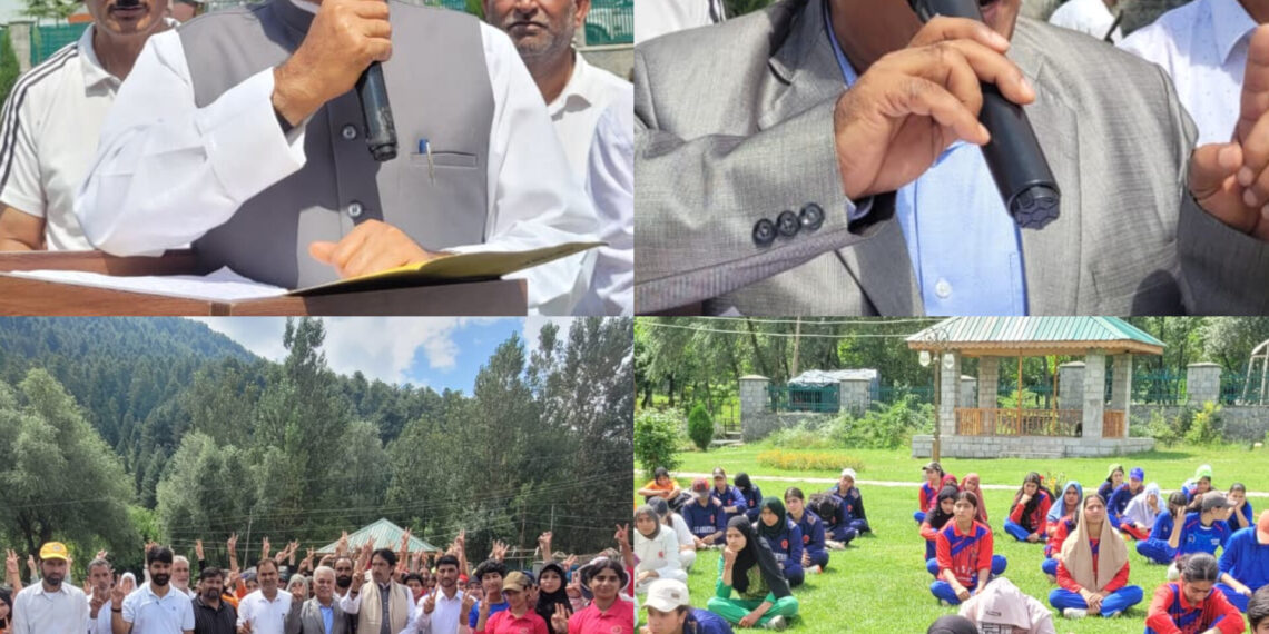 MLA Ghulam Ahmad Mir inaugurates IDPL Cricket Tournament at Verinag