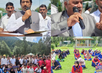 MLA Ghulam Ahmad Mir inaugurates IDPL Cricket Tournament at Verinag