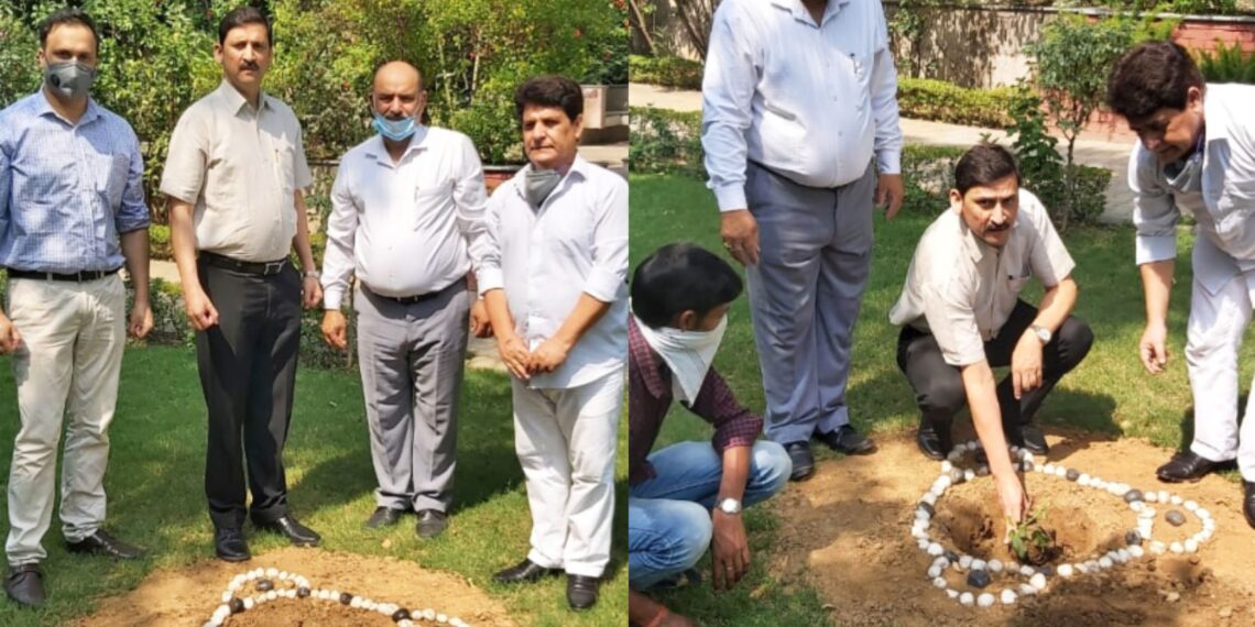 J&K Bank observes Van Mahotsav Week in Jammu