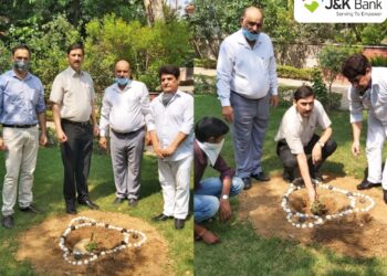 J&K Bank observes Van Mahotsav Week in Jammu