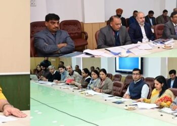 LG chairs meeting of financial institutions, public sector banks,Govt Deptts