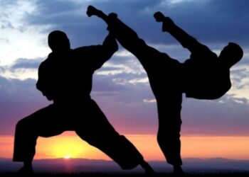 Martial Art Competition concludes at DPL Shopian