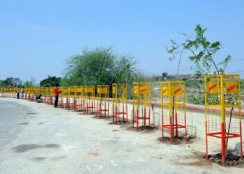 Miraj Group Commits to Green Future with 1 Crore Tree Plantation Drive