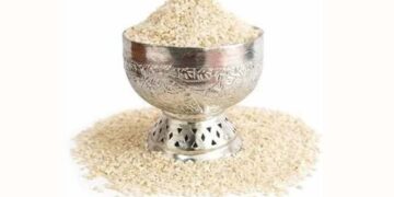 Kashmir’s aromatic Rice, Mushk Budji showcased during Bharat International Rice Conference