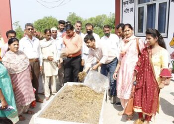 Mushroom cultivation training program hosted at SKUAST-J