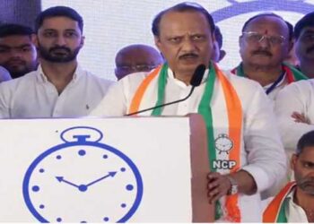 NCP to contest 90 Maha Assembly seats: Pawar Junior