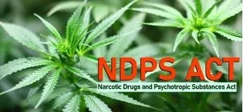 Jammu Police books notorious drug peddler under PIT-NDPS Act