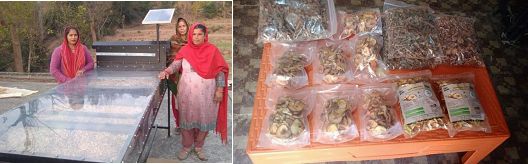 NRLM changes life of many rural poor through its support structure