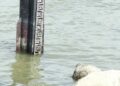 No imminent flood threat despite severe weather: I&FC Deptt