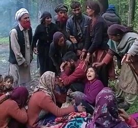 Tree falls on makeshift tent in Kishtwar forests, 4 members of a Bakerwal family killed