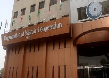 OIC condemns violence against Muslims in India
