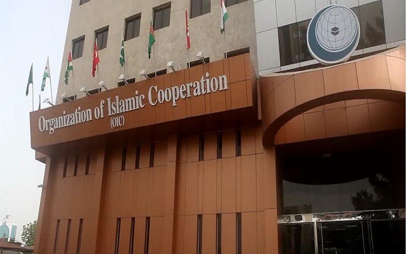 OIC condemns violence against Muslims in India