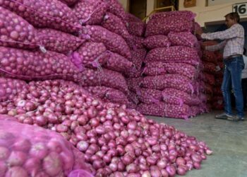 Centre bans onion exports till March next year