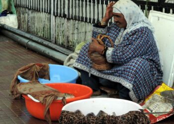 In Pictures- Rains lashes plains, upper reaches experiences snowfall in Kashmir