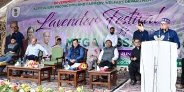 CM Omar Inaugurates Lavender Festival at Nunar