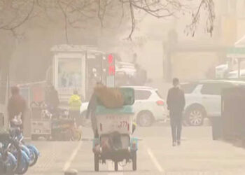 Over 2.90L head of livestock killed in E Mongolia due to dust, snow storms