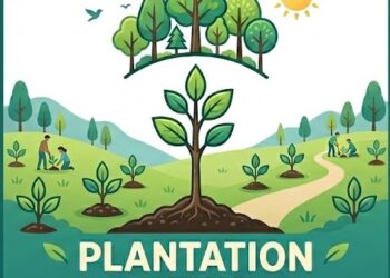Massive Plantation Drive held across Schools of Srinagar