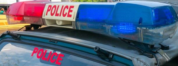 Punjab Police busts JeM module