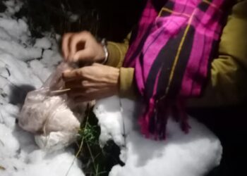 Arms, ammo, grenades recovered from LoC village of Mendhar