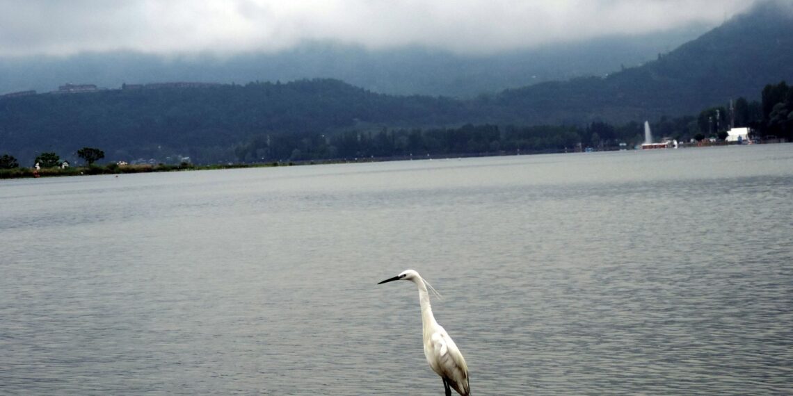 Clouds hovering over the Dal Lake in Srinagar on Wednesday