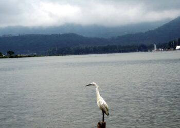 Clouds hovering over the Dal Lake in Srinagar on Wednesday