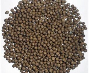 Regular supply of trout feed ensured during lockdown: Dir Fisheries