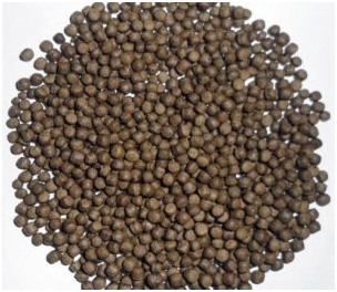Regular supply of trout feed ensured during lockdown: Dir Fisheries