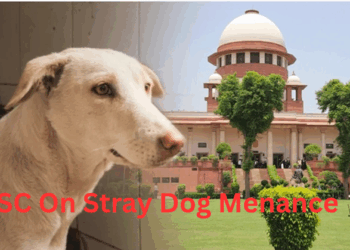 SC Slams States for ‘Stray Dog Menace’ Inaction, Directs Chief Secretaries to Appear